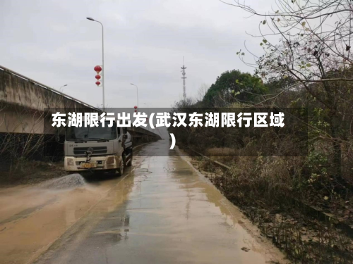 东湖限行出发(武汉东湖限行区域)