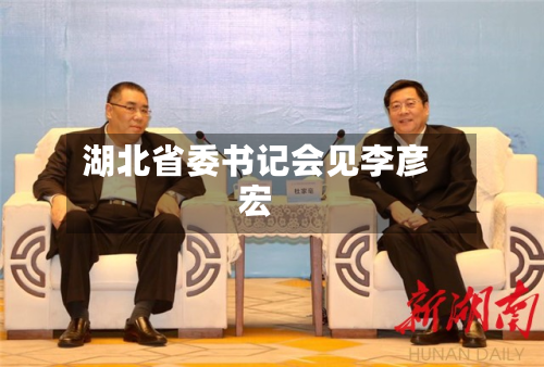 湖北省委书记会见李彦宏-第2张图片