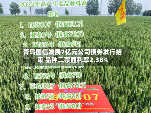 青岛国信发展7亿元公司债券发行结束 品种二票面利率2.38%