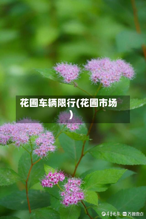 花圃车辆限行(花圃市场)