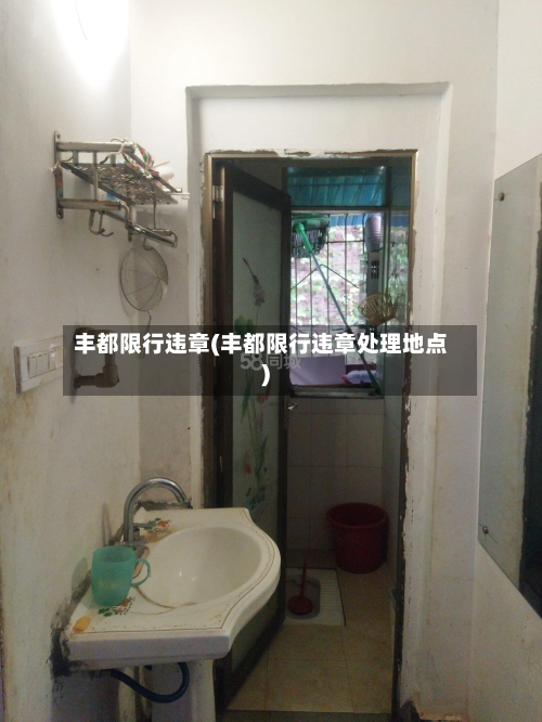 丰都限行违章(丰都限行违章处理地点)-第3张图片