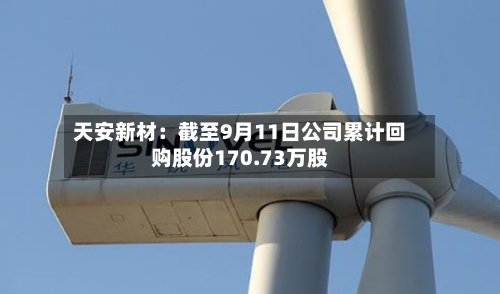 天安新材：截至9月11日公司累计回购股份170.73万股-第3张图片