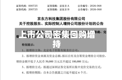 上市公司密集回购增持-第2张图片