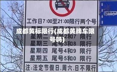 成都黄标限行(成都黄牌车限号吗)-第2张图片