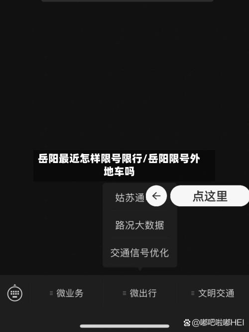 岳阳最近怎样限号限行/岳阳限号外地车吗