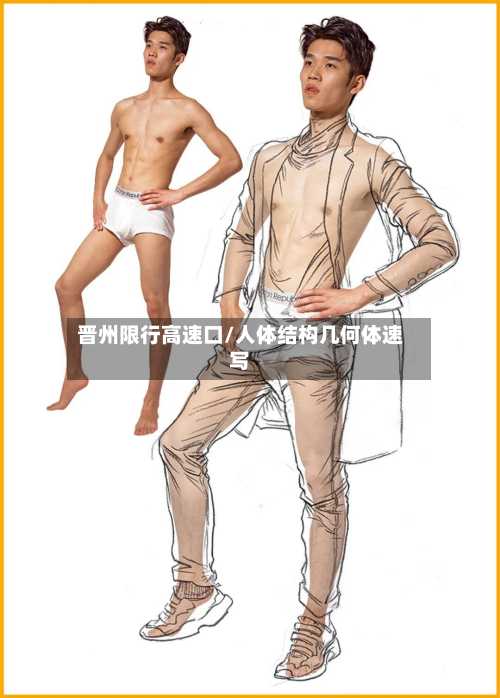 晋州限行高速口/人体结构几何体速写