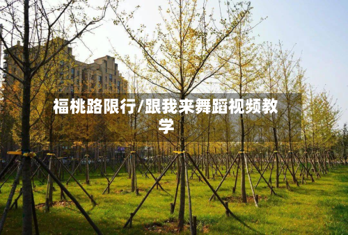 福桃路限行/跟我来舞蹈视频教学-第3张图片