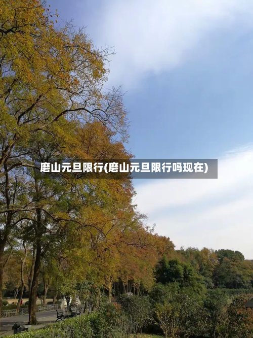 磨山元旦限行(磨山元旦限行吗现在)