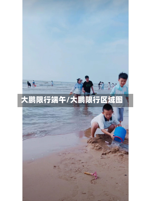 大鹏限行端午/大鹏限行区域图