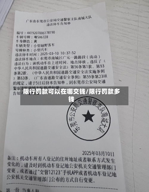 限行罚款可以在哪交钱/限行罚款多钱-第1张图片