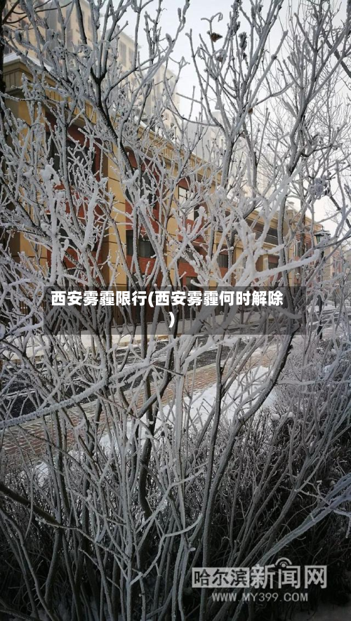 西安雾霾限行(西安雾霾何时解除)-第3张图片