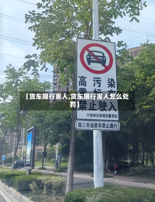 【货车限行害人,货车限行害人怎么处罚】