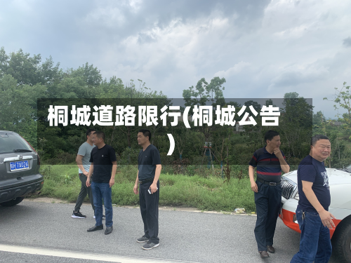 桐城道路限行(桐城公告)-第2张图片