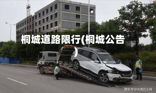 桐城道路限行(桐城公告)-第3张图片