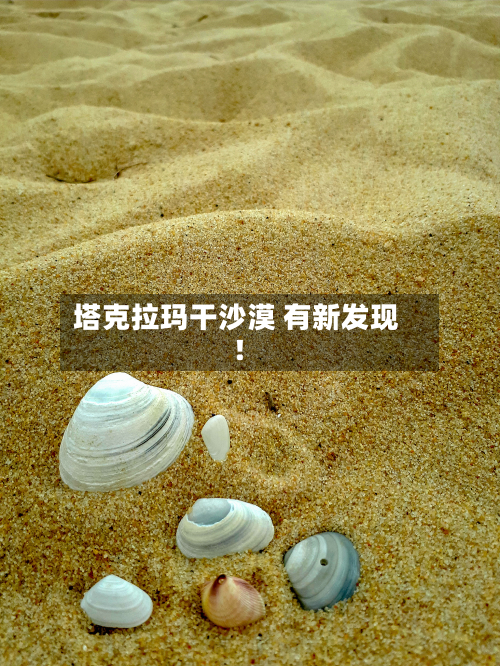 塔克拉玛干沙漠 有新发现！