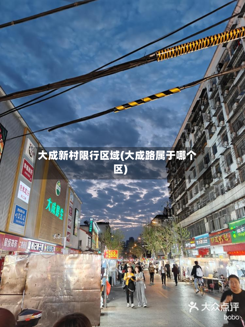 大成新村限行区域(大成路属于哪个区)-第2张图片