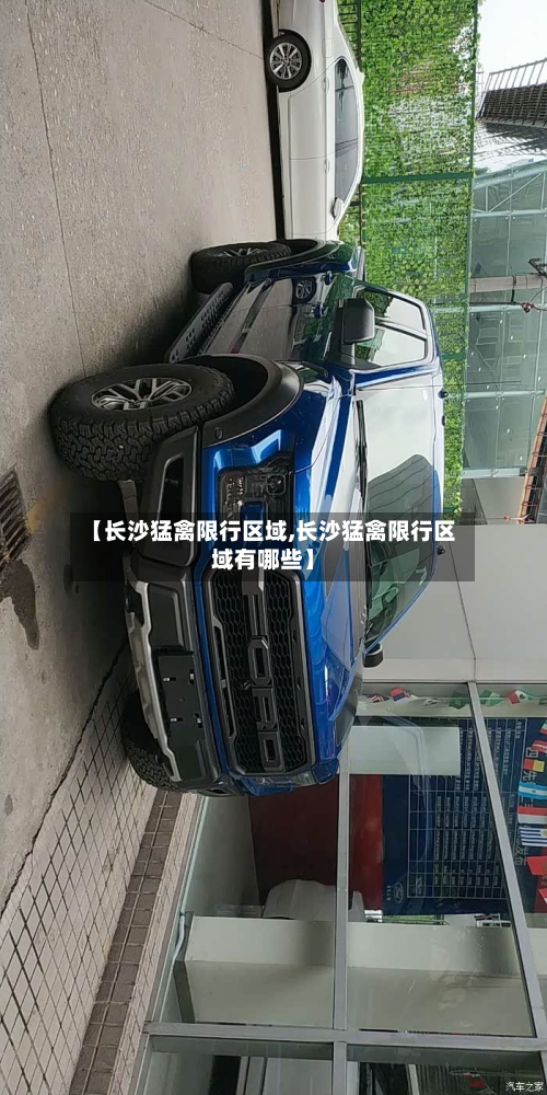 【长沙猛禽限行区域,长沙猛禽限行区域有哪些】-第3张图片