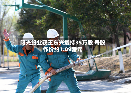 阳光纸业获王东兴增持35万股 每股作价约1.09港元-第2张图片