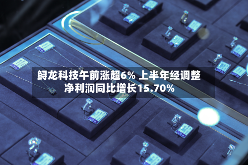 鲟龙科技午前涨超6% 上半年经调整净利润同比增长15.70%-第1张图片