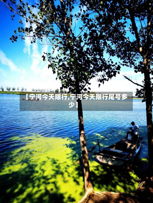 【宁河今天限行,宁河今天限行尾号多少】-第3张图片
