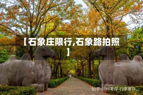 【石象庄限行,石象路拍照】-第2张图片
