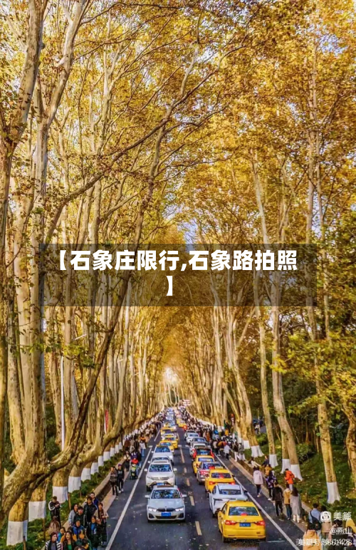 【石象庄限行,石象路拍照】