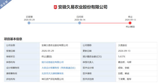 百日撤单背后：国元证券投行的“速度”与“亏损	”